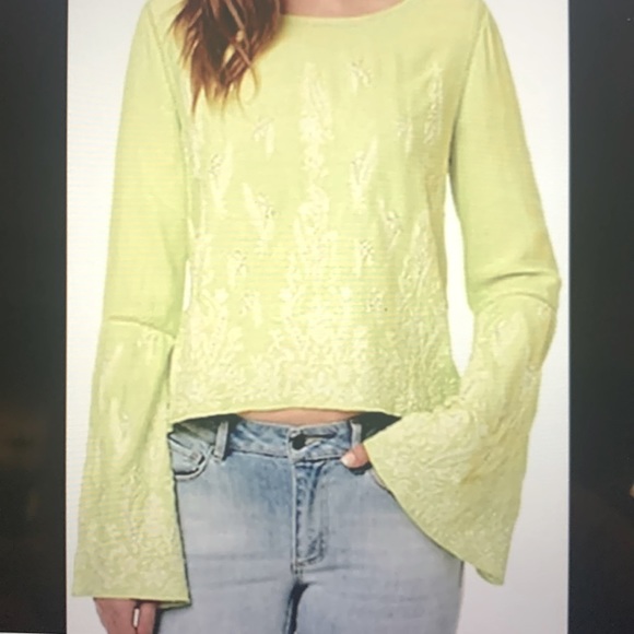 NWT Bell sleeve top - white embroidery & silver beading PALE LIME US XL - Picture 1 of 12